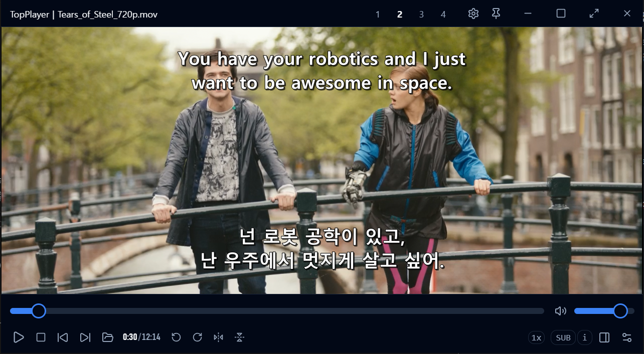 TopPlayer 이중 자막 — 영어(위) + 한국어(아래) 동시 표시